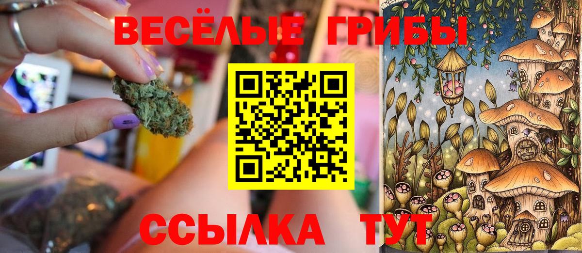 Галлюциногенные грибы мухоморы  Вход с VPN  Лесосибирск 