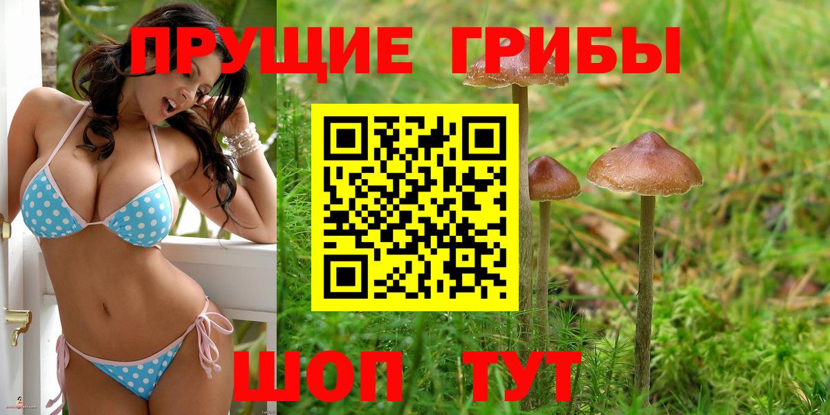 Псилоцибиновые грибы мицелий Лесосибирск