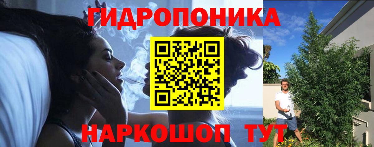 Бошки Шишки план Лесосибирск
